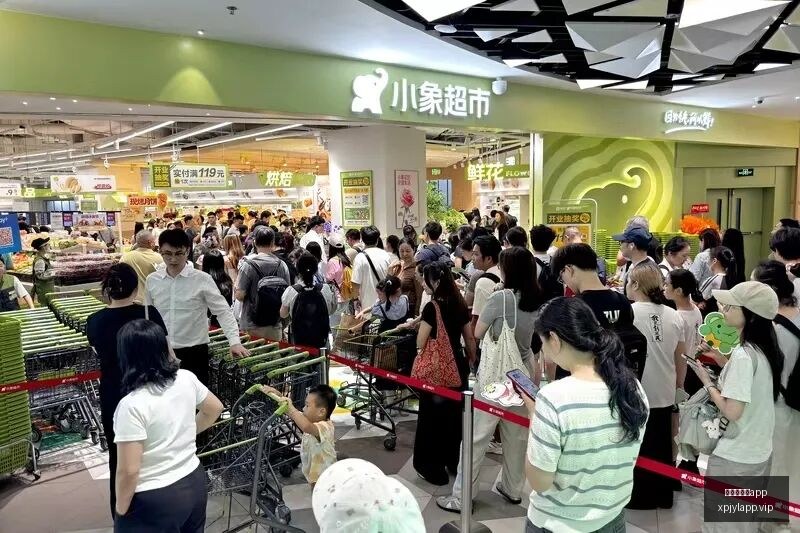 电竞女神跨,界助力,新品发布引,澳门新葡京app,新葡京下载