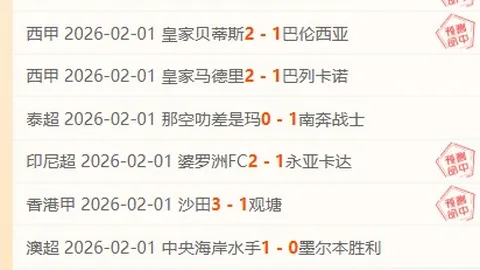 卢卡库头球绝杀比利时，瓦纳特替补建功助乌克兰翻盘